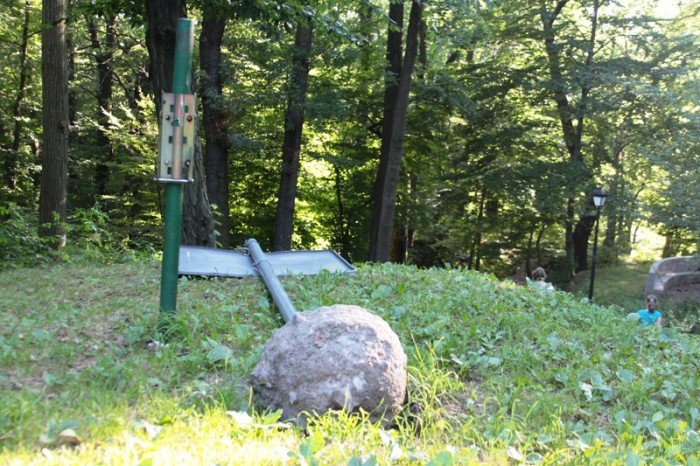 grzybek-ma-byc-chroniony-potrojnie-foto-47634