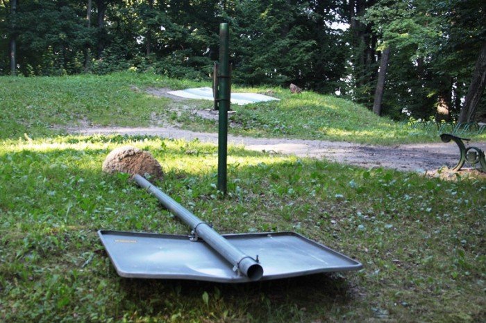 grzybek-ma-byc-chroniony-potrojnie-foto-47634