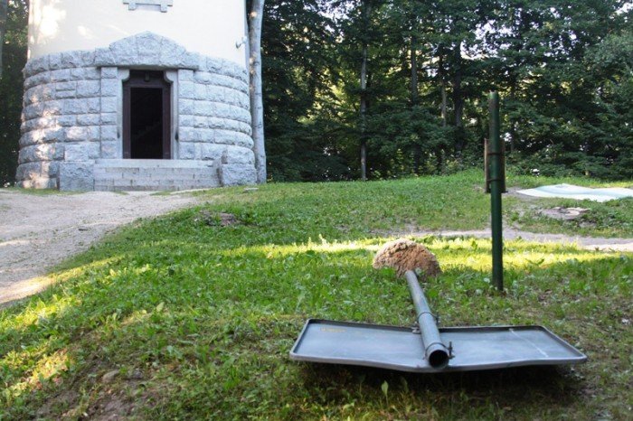 grzybek-ma-byc-chroniony-potrojnie-foto-47634