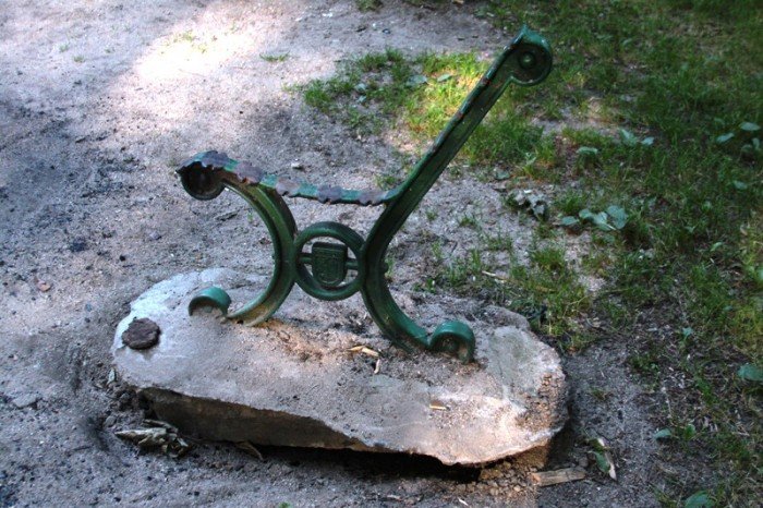 grzybek-ma-byc-chroniony-potrojnie-foto-47634