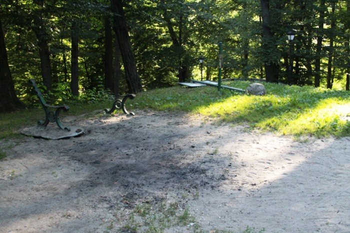 grzybek-ma-byc-chroniony-potrojnie-foto-47634