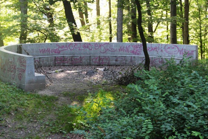 grzybek-ma-byc-chroniony-potrojnie-foto-47634