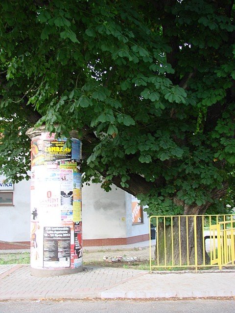 turysta-szlak-papieski-jest-zaniedbany-foto-47659
