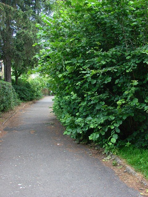 turysta-szlak-papieski-jest-zaniedbany-foto-47659