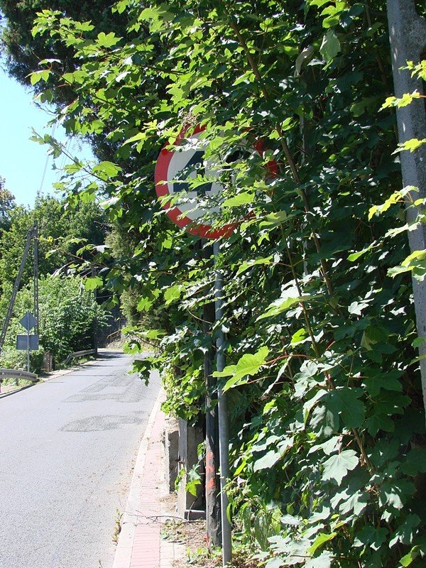 na-karkonoskiej-znikney-znaki-foto-47684