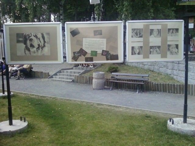 artystycznie-i-ekologicznie-pod-szrenica-foto-47688