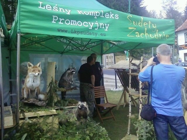 artystycznie-i-ekologicznie-pod-szrenica-foto-47688