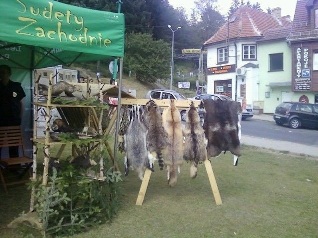 artystycznie-i-ekologicznie-pod-szrenica-foto-47688