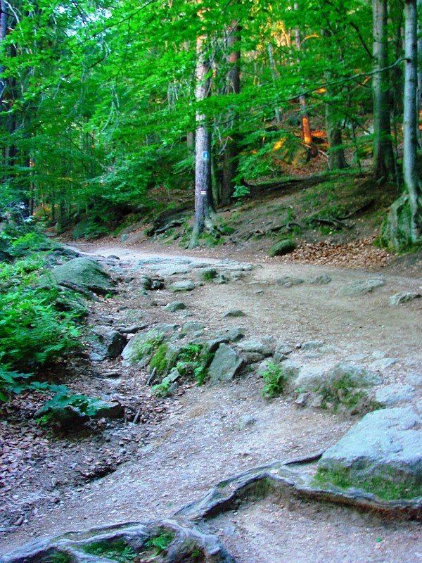droga-na-chojnik-zostanie-wyremontowana-foto-47699