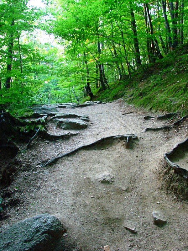 droga-na-chojnik-zostanie-wyremontowana-foto-47699