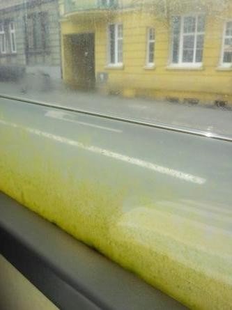 czytelniczka-tyle-widac-przez-szyby-autobusu-mzk-foto-47744