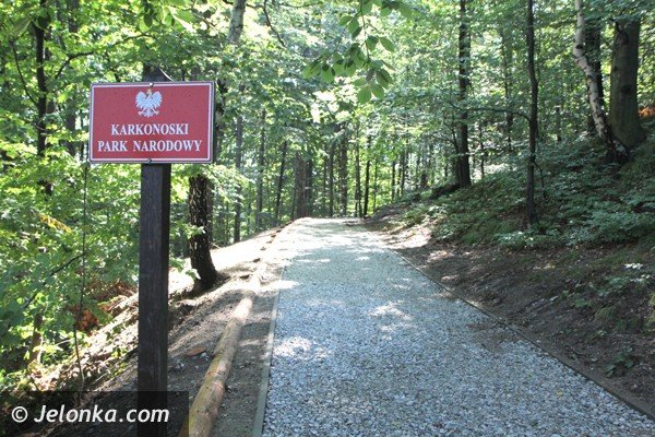 budowa-sciezki-nartorolkowej-na-ukonczeniu-foto-47814