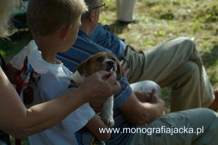 szyszak-zagra-dla-monografii-dworu-czarne-foto-47820