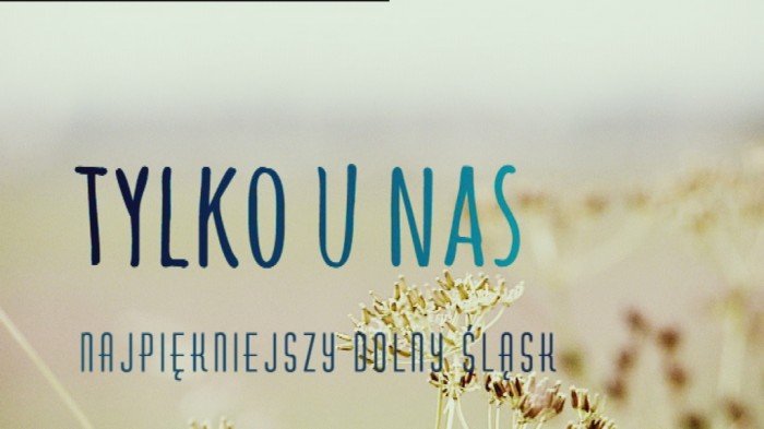 dzis-nasze-miasto-na-zywo-w-telewizji-47879