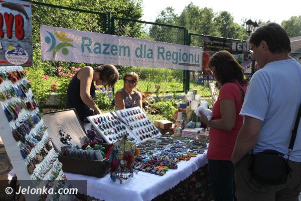 swietna-zabawa-na-festynie-rodzinnym-w-mikowie-foto-47886