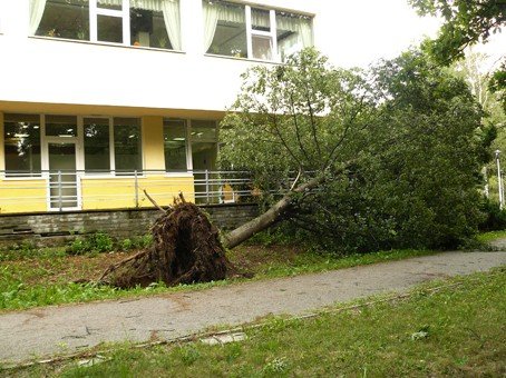 wichura-narobia-wiele-szkod-w-parku-zdrojowym-foto-47907