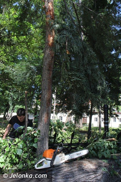 wichura-narobia-wiele-szkod-w-parku-zdrojowym-foto-47907
