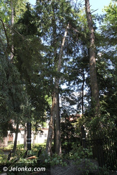 wichura-narobia-wiele-szkod-w-parku-zdrojowym-foto-47907
