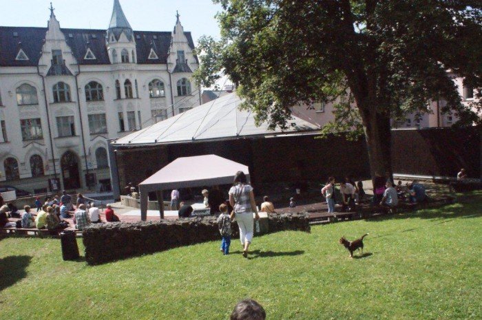 kruche-piekno-w-jabloncu-z-naszym-udziaem-foto-47937
