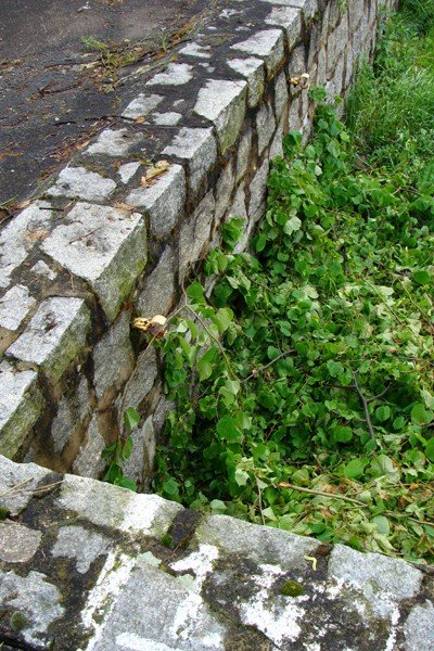 park-rozrywki-na-terenie-starego-basenu-47939