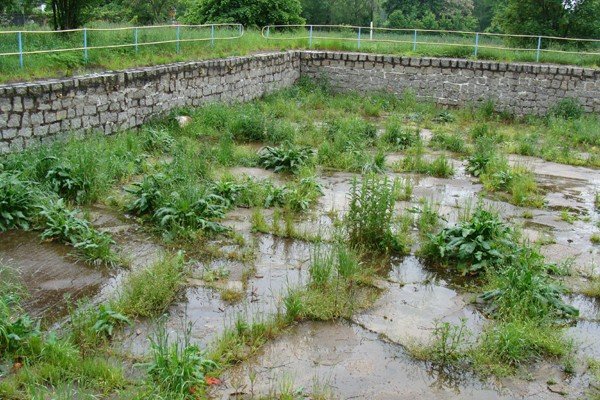 park-rozrywki-na-terenie-starego-basenu-47939