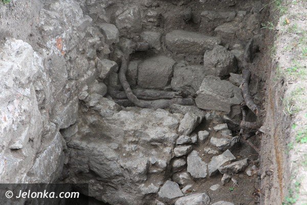 czego-archeolodzy-szukaja-przy-wiezy-w-siedlecinie-foto-47946