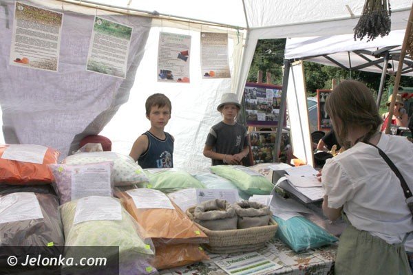 tradycyjne-smaki-z-regionu-pod-sniezka-foto-47963