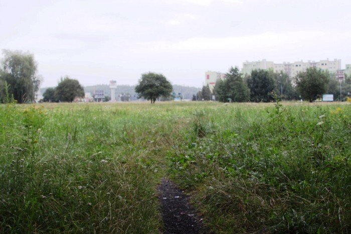 kiedy-wykosza-plac-na-zabobrzu-foto-47999