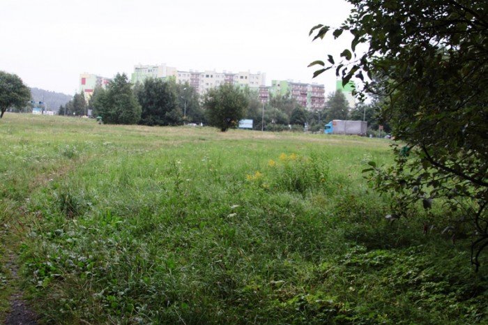 kiedy-wykosza-plac-na-zabobrzu-foto-47999