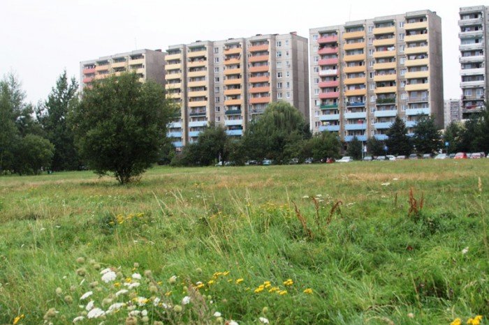 kiedy-wykosza-plac-na-zabobrzu-foto-47999