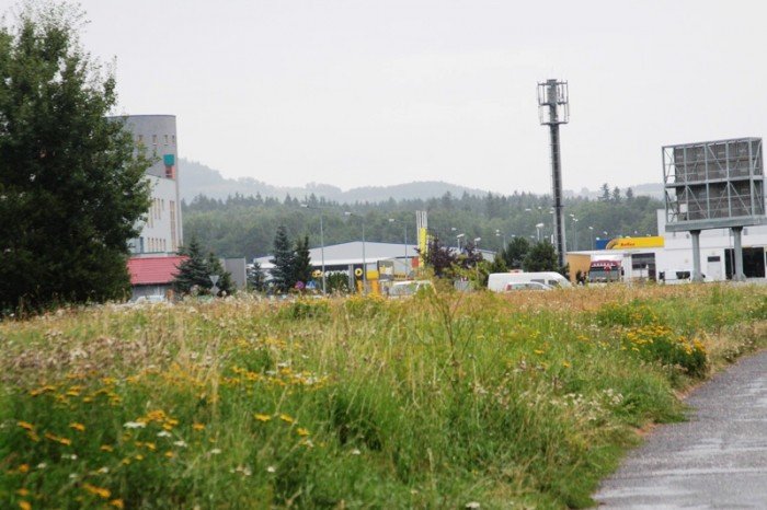 kiedy-wykosza-plac-na-zabobrzu-foto-47999