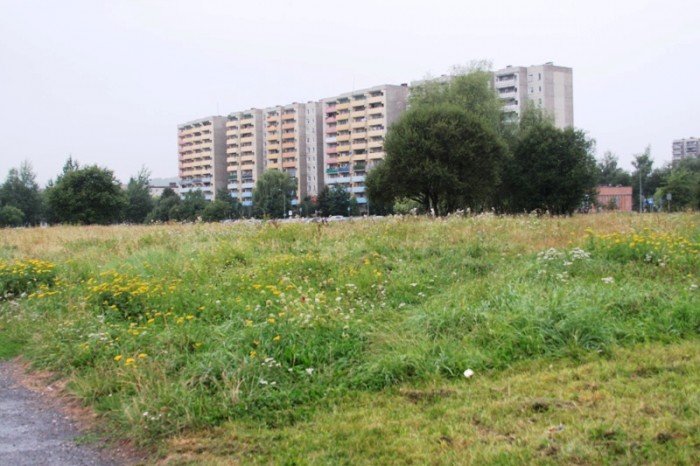 kiedy-wykosza-plac-na-zabobrzu-foto-47999