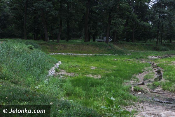 trwa-rewaloryzacja-parku-w-mysakowicach-foto-48009