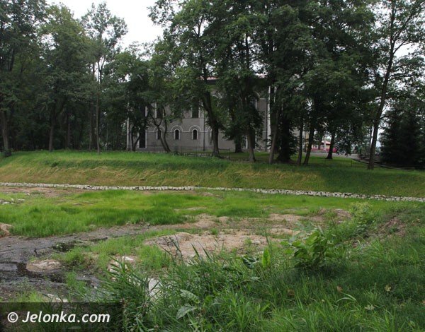 trwa-rewaloryzacja-parku-w-mysakowicach-foto-48009