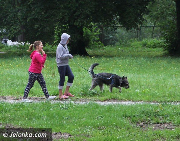 trwa-rewaloryzacja-parku-w-mysakowicach-foto-48009