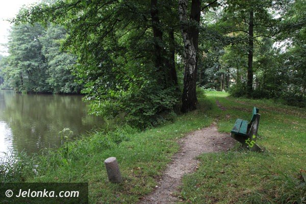 trwa-rewaloryzacja-parku-w-mysakowicach-foto-48009