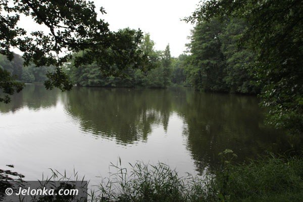 trwa-rewaloryzacja-parku-w-mysakowicach-foto-48009