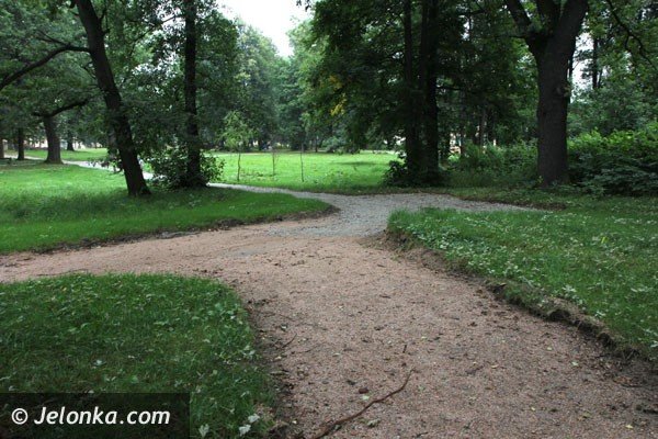 trwa-rewaloryzacja-parku-w-mysakowicach-foto-48009