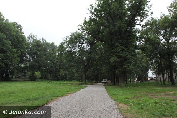 trwa-rewaloryzacja-parku-w-mysakowicach-foto-48009