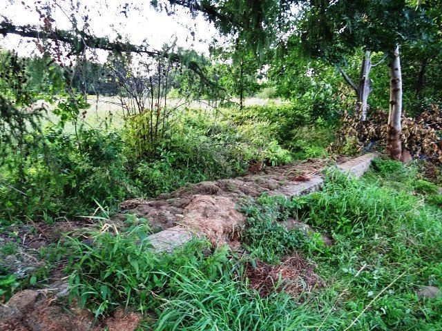co-z-basenem-w-sobieszowie-foto-48096