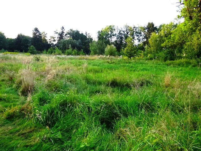 co-z-basenem-w-sobieszowie-foto-48096