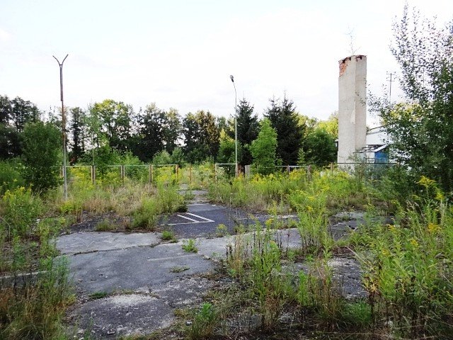 co-z-basenem-w-sobieszowie-foto-48096