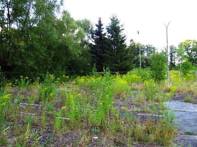 co-z-basenem-w-sobieszowie-foto-48096