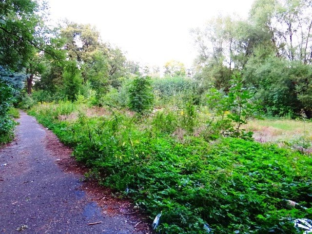 co-z-basenem-w-sobieszowie-foto-48096