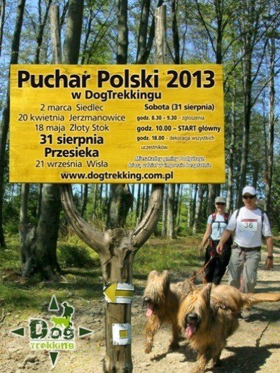 puchar-polski-w-dogtrekkingu-w-przesiece-48119