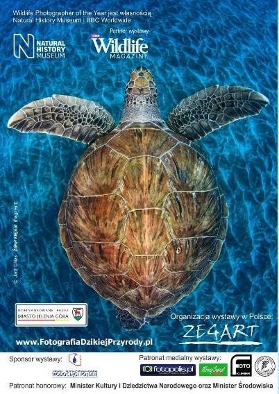 dzika-natura-w-muzeum-przyrodniczym-48160
