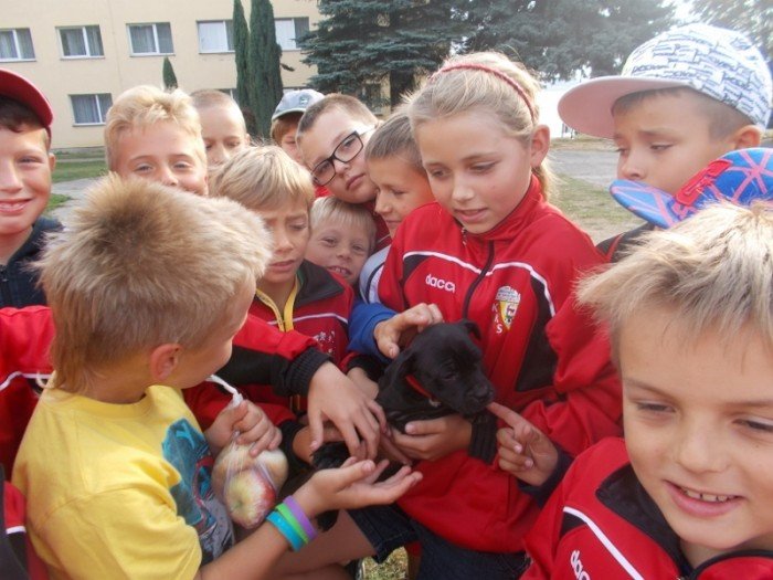 pikarze-kks-po-obozie-w-bazejowku-foto-48185
