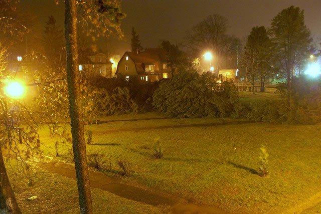 park-na-morcinka-lezy-4819