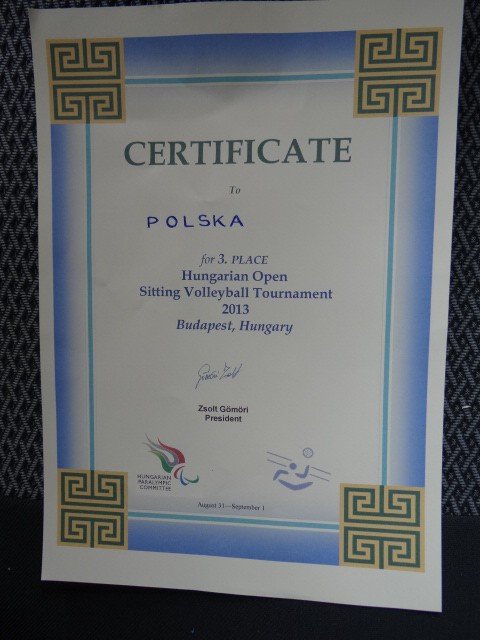 brazowy-medal-polek-na-wegrzech-foto-48216