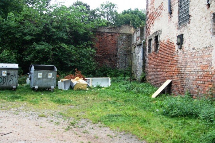 smietnisko-i-zomowisko-w-centrum-miasta-foto-48223